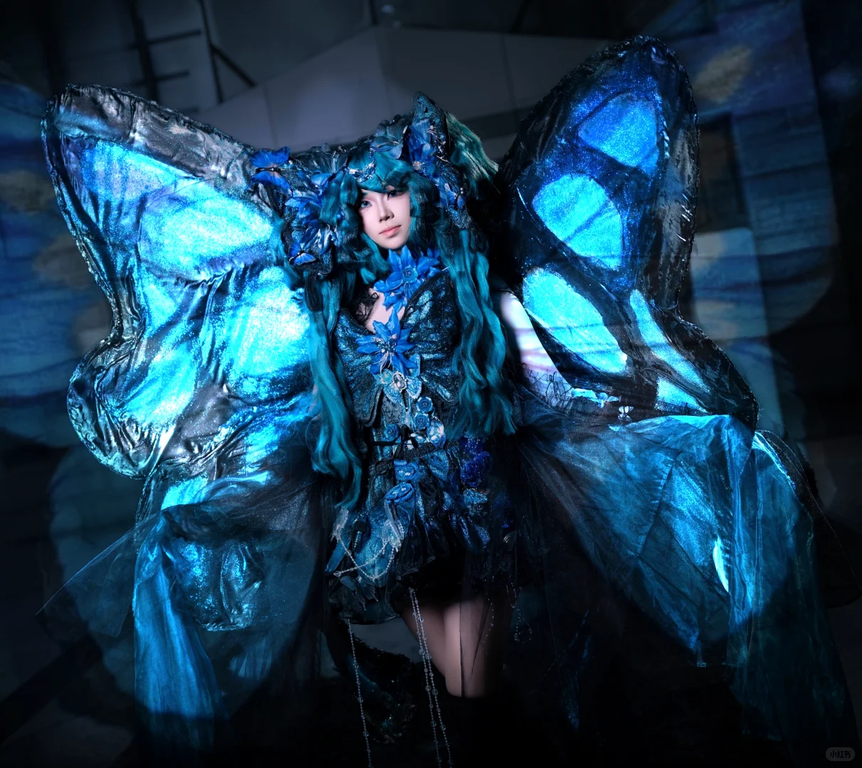 洛洛想去WACGW云南动漫游戏博览会！！！