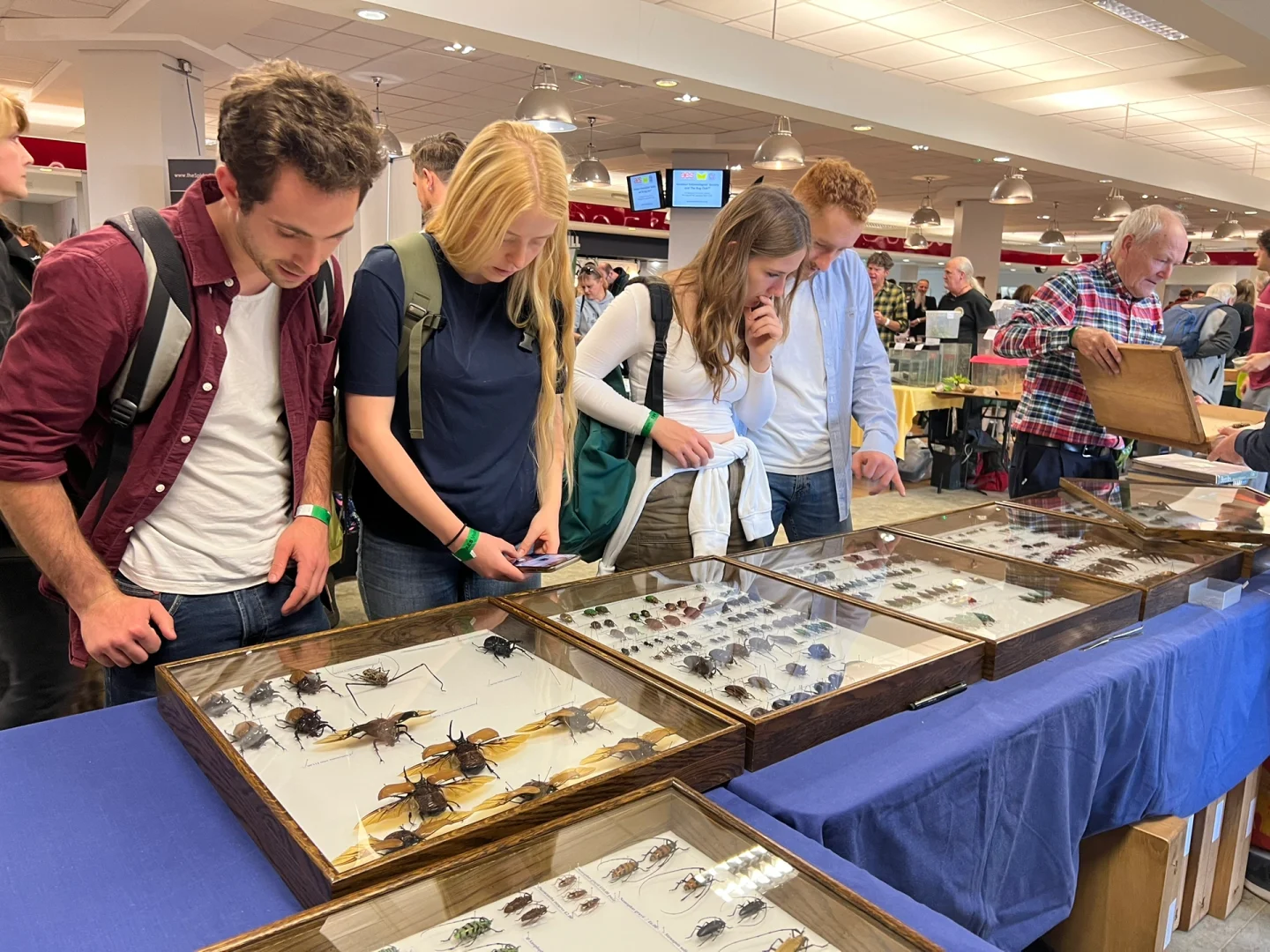 英国伦敦昆虫学展会