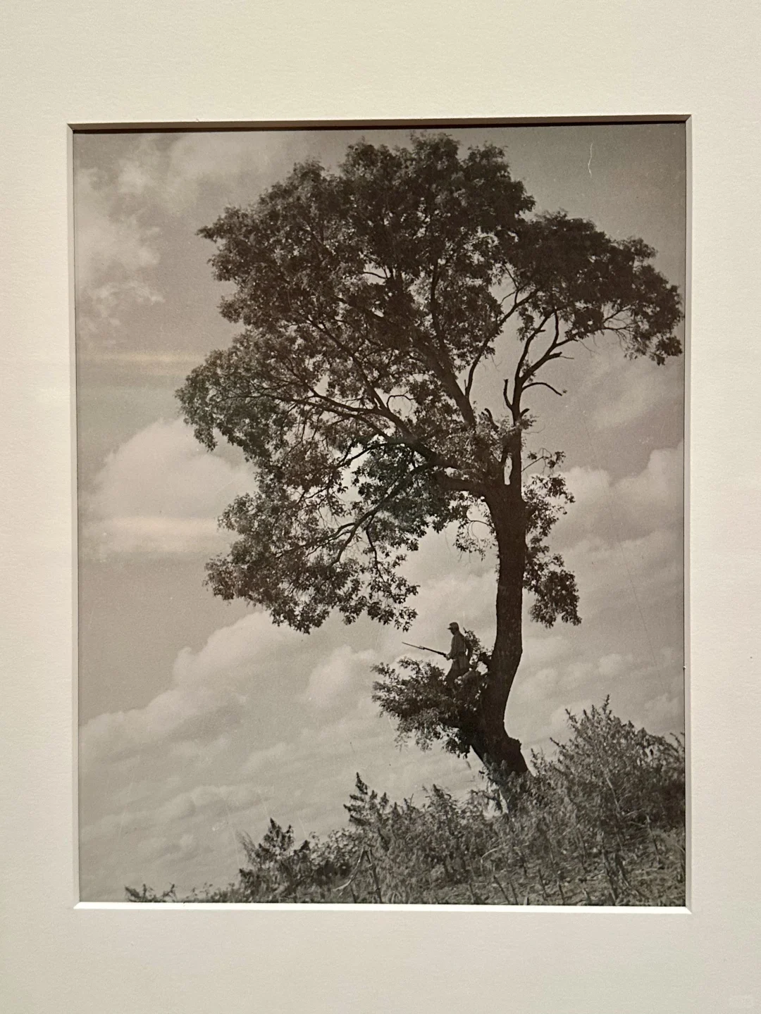 这才是顶流国家美术展!每幅都是历史的呐喊