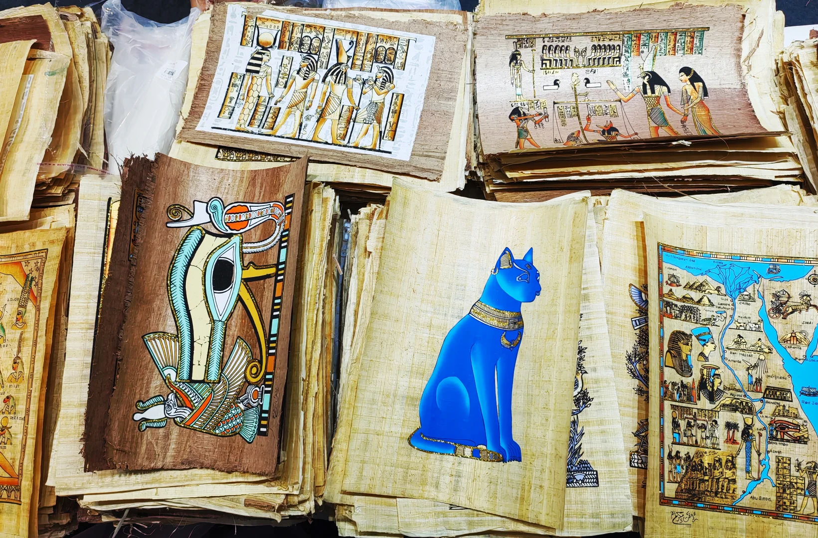 中阿博览会怎么逛