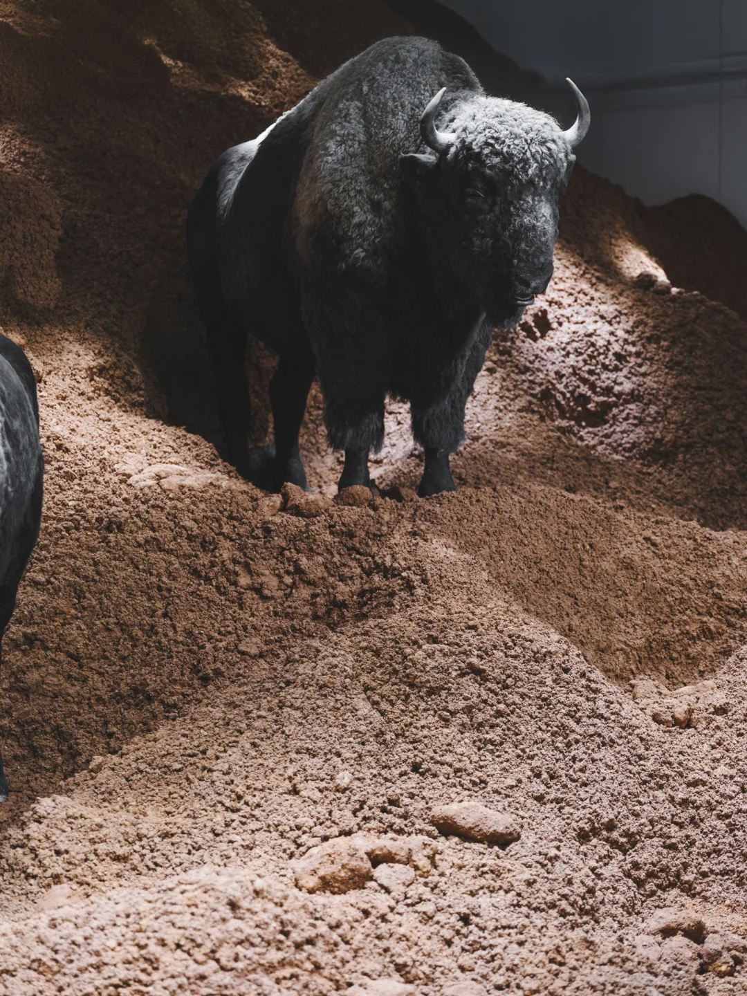 深圳探展 | 除了巨人，我更关注它的商业模式