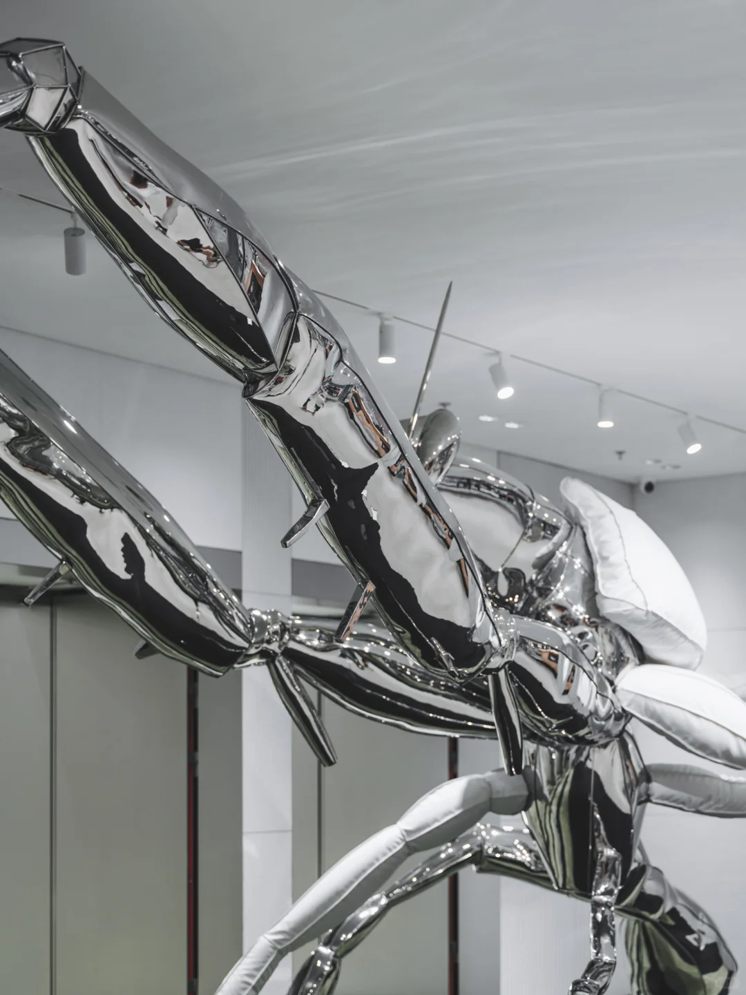 深圳探展 | 除了巨人，我更关注它的商业模式