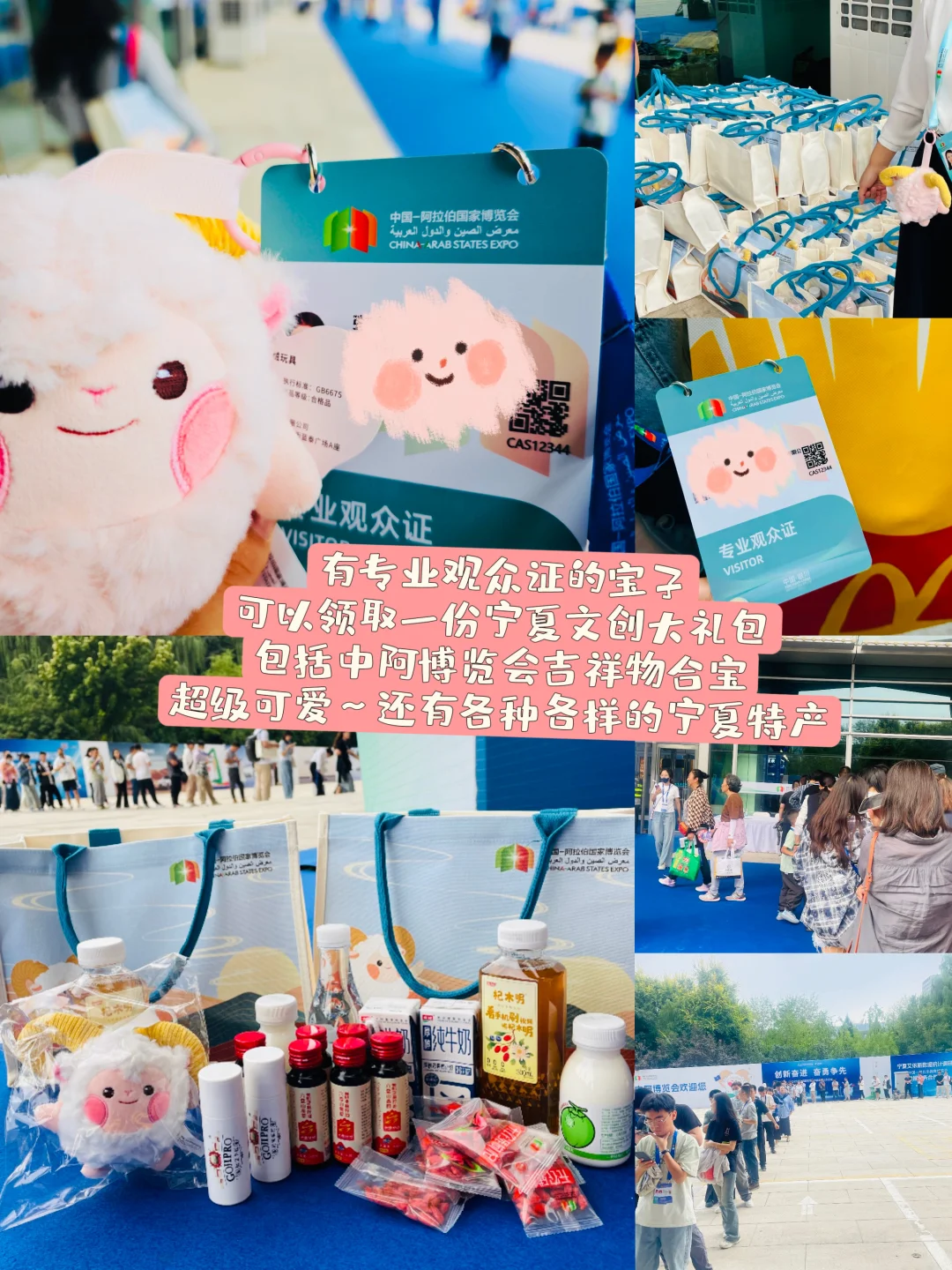 银川中阿博览会终极暴走攻略❗️‼️