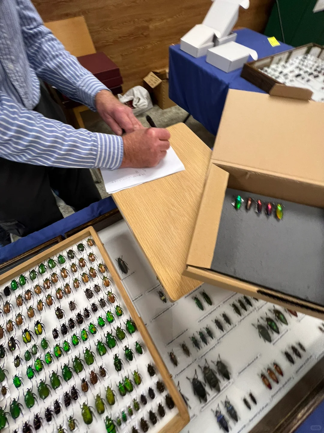 英国伦敦昆虫学展会