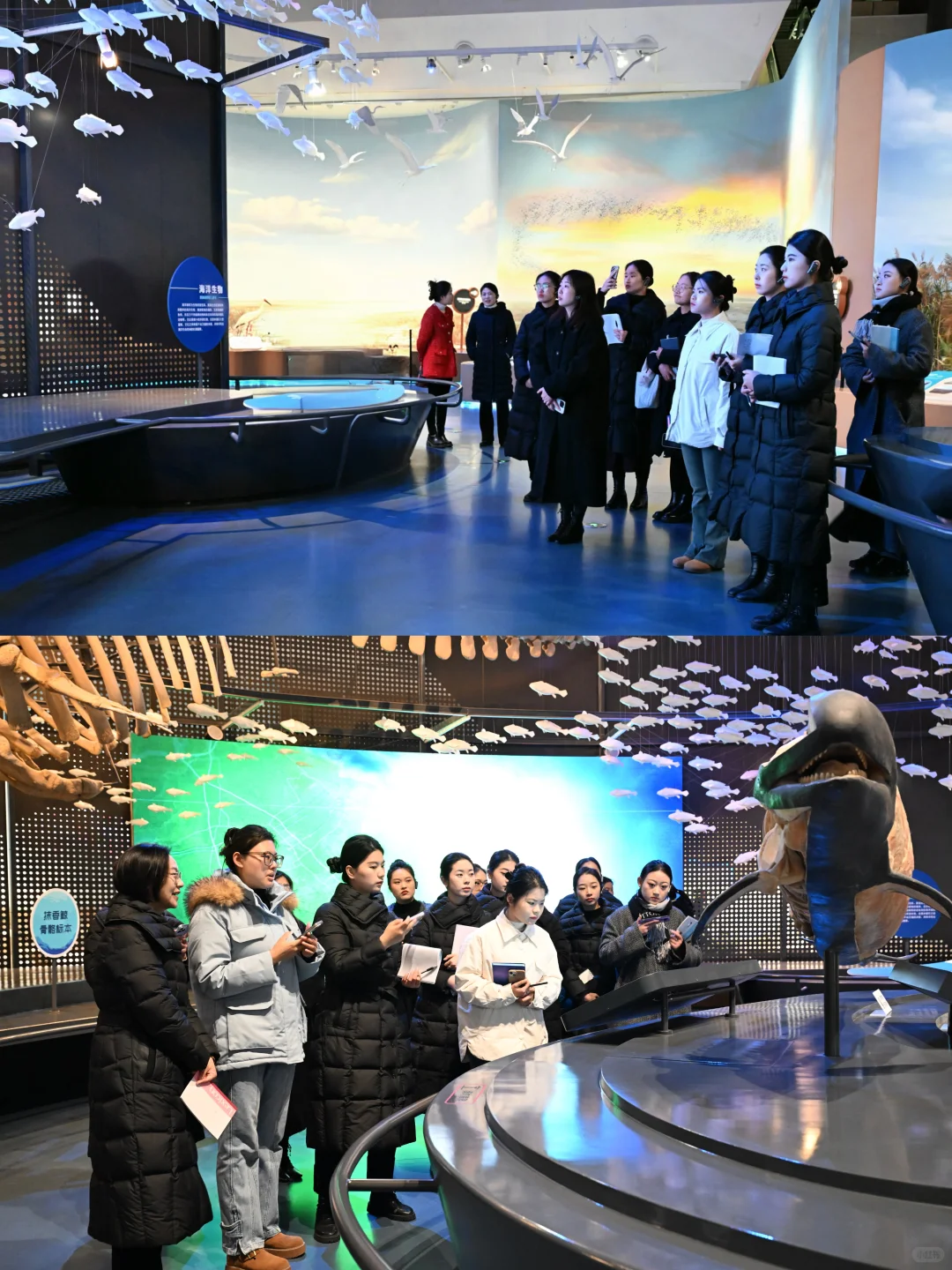 国企讲解员 | 团队打工?日常