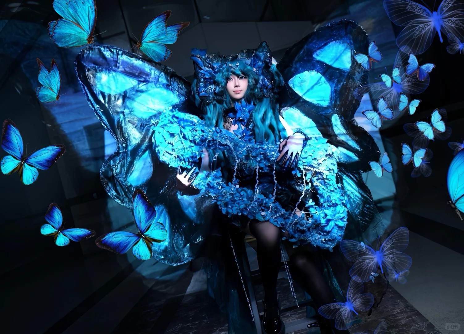 洛洛想去WACGW云南动漫游戏博览会！！！