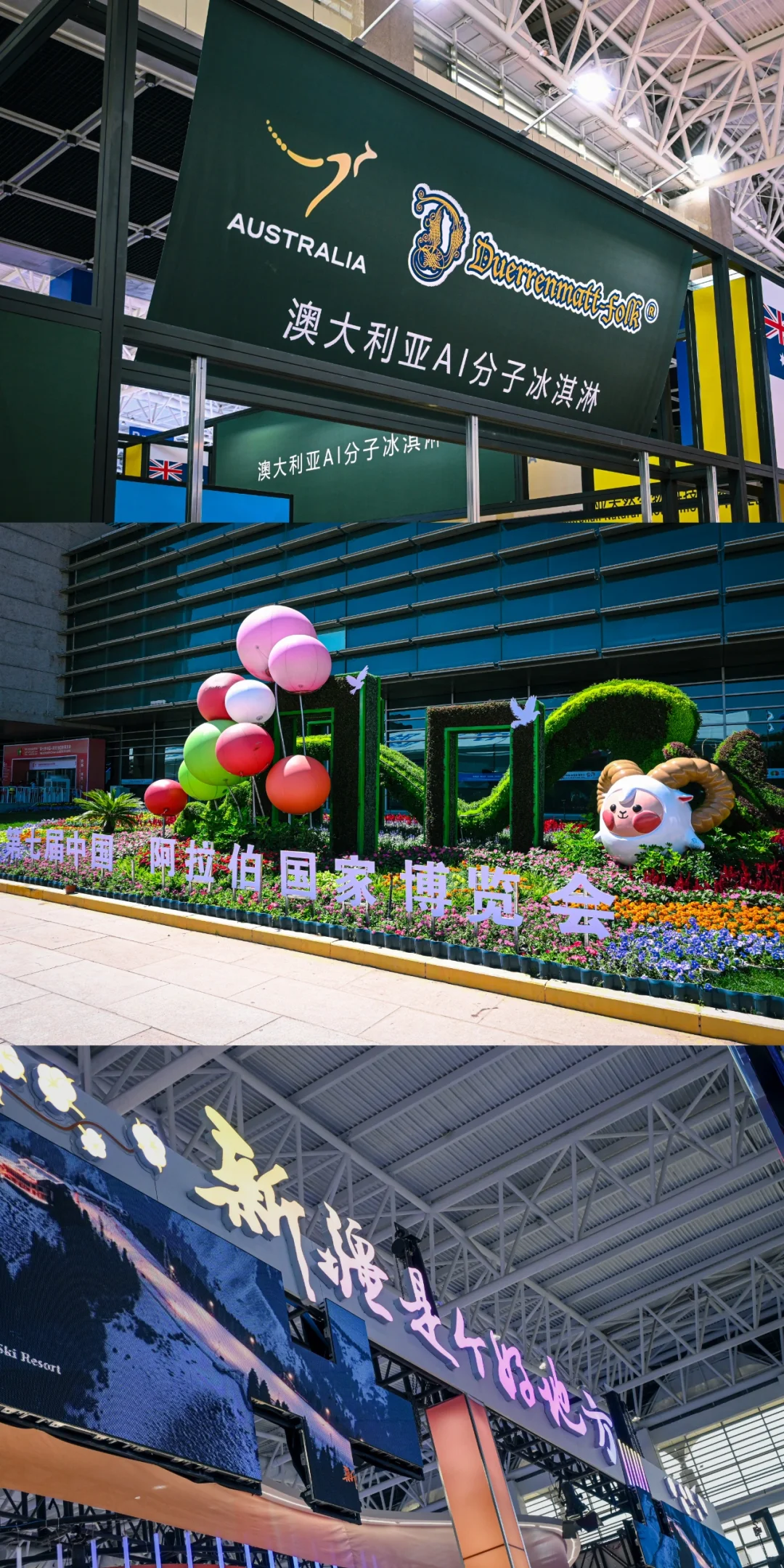 银川｜第七届中阿博览会(下)