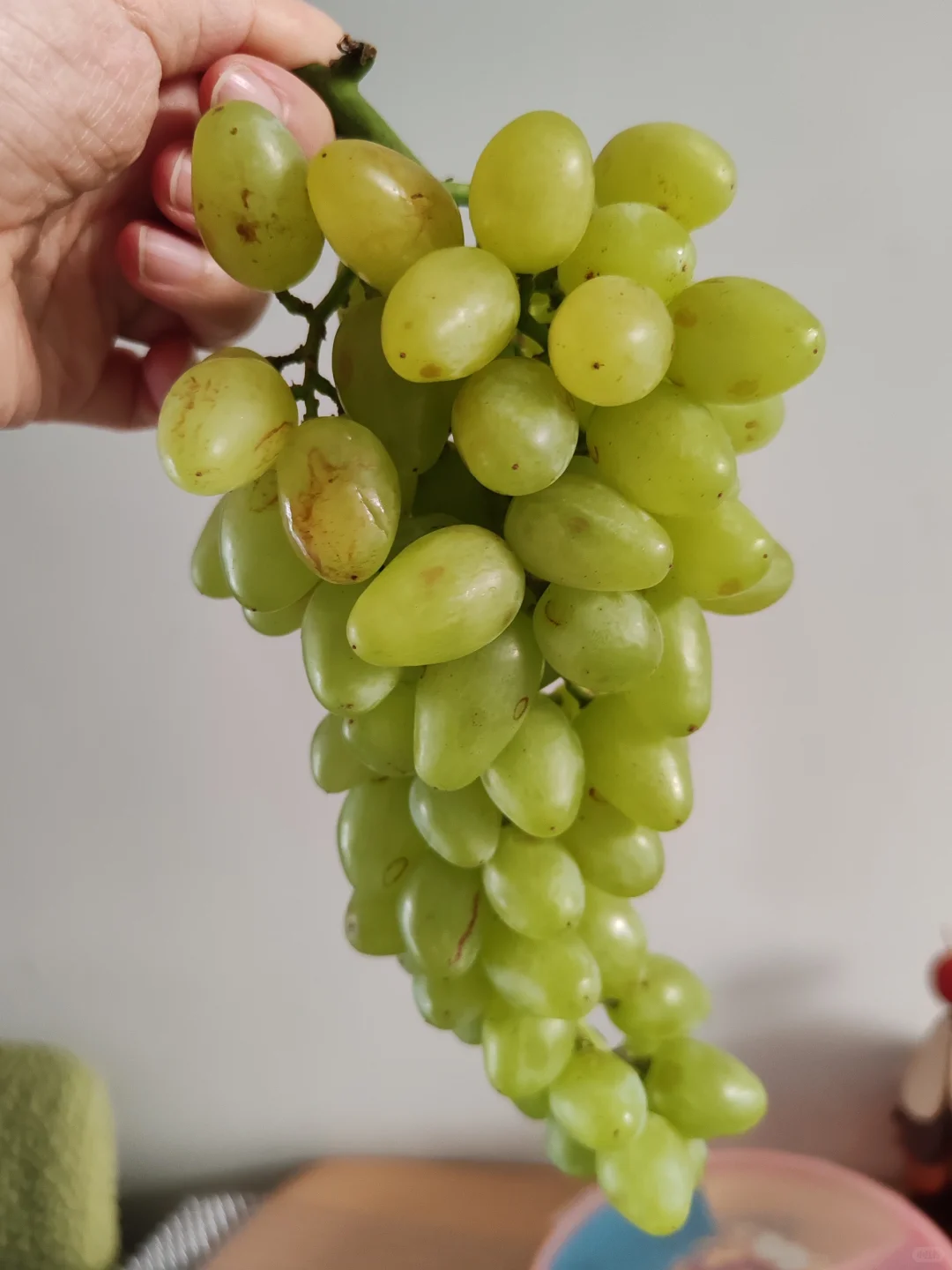 中蒙博览会入手好物分享！