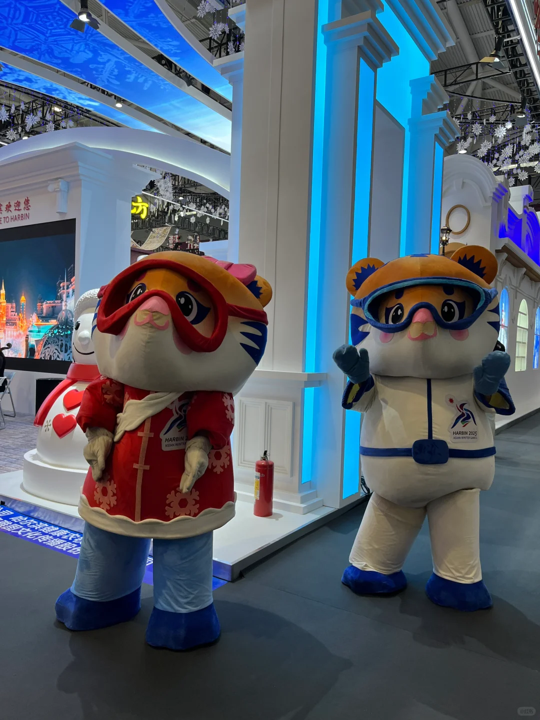 #深圳展会兼职｜文博会