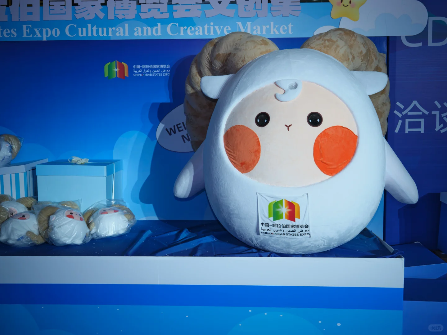 中国银川 “第七届”阿拉博览会..中阿博览