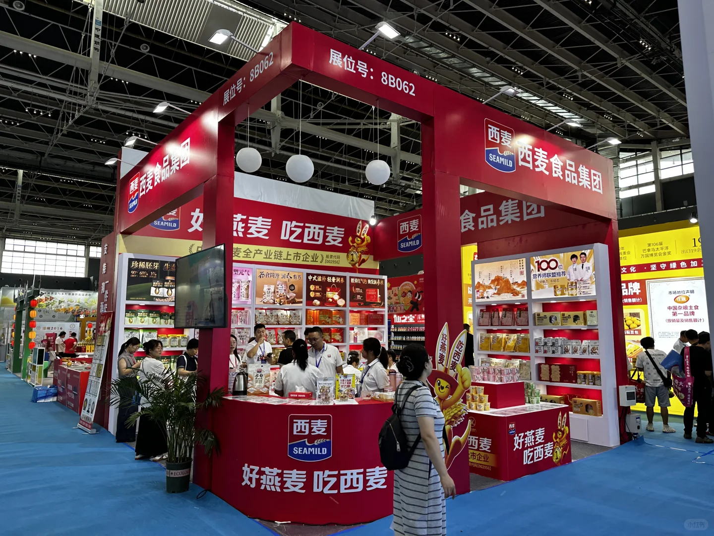 正定正定！！速来！宝藏展会！