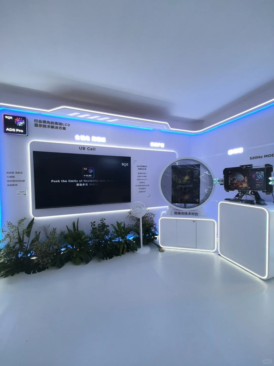 太震撼了，798硬核新展❗️