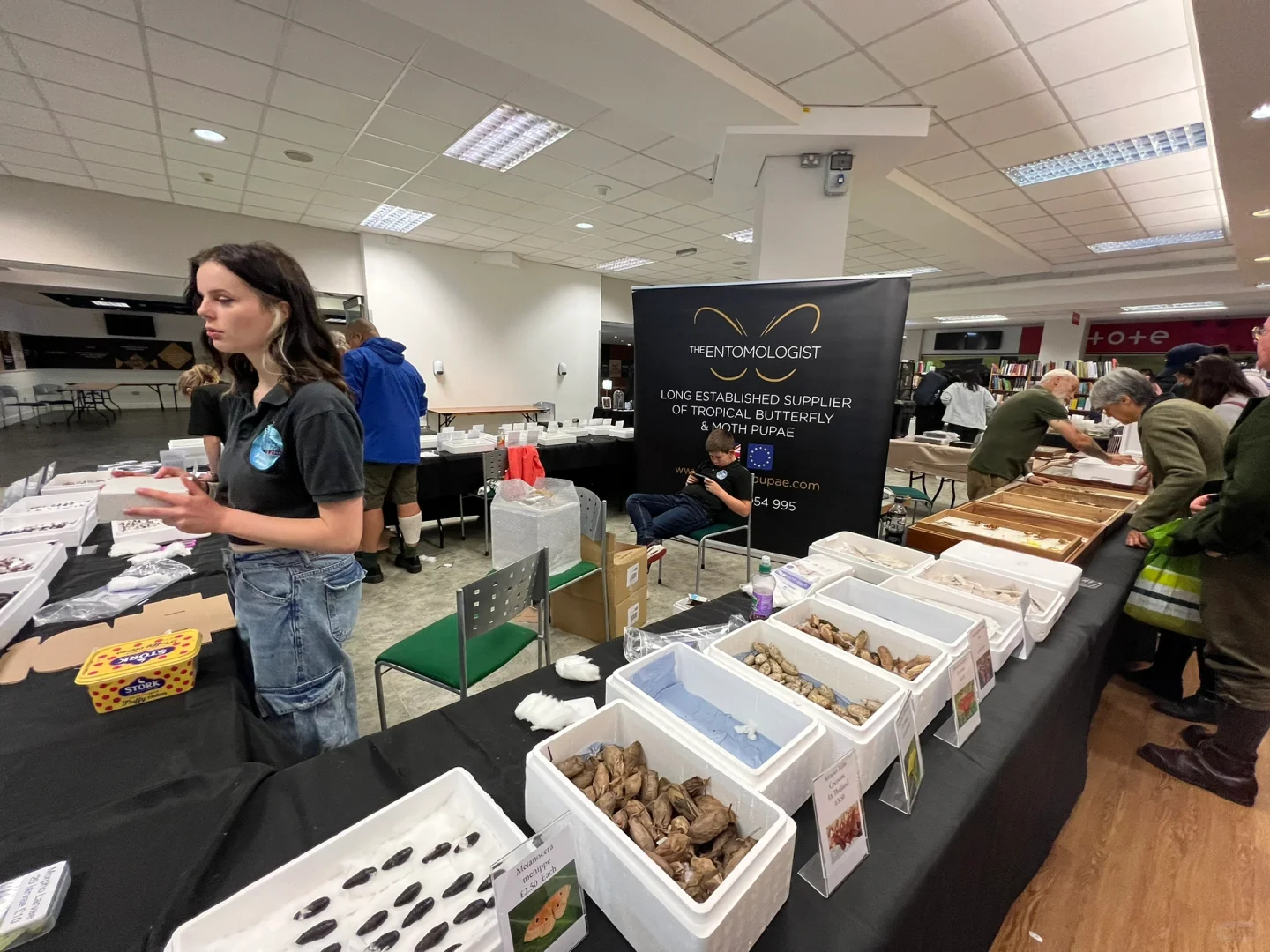 英国伦敦昆虫学展会