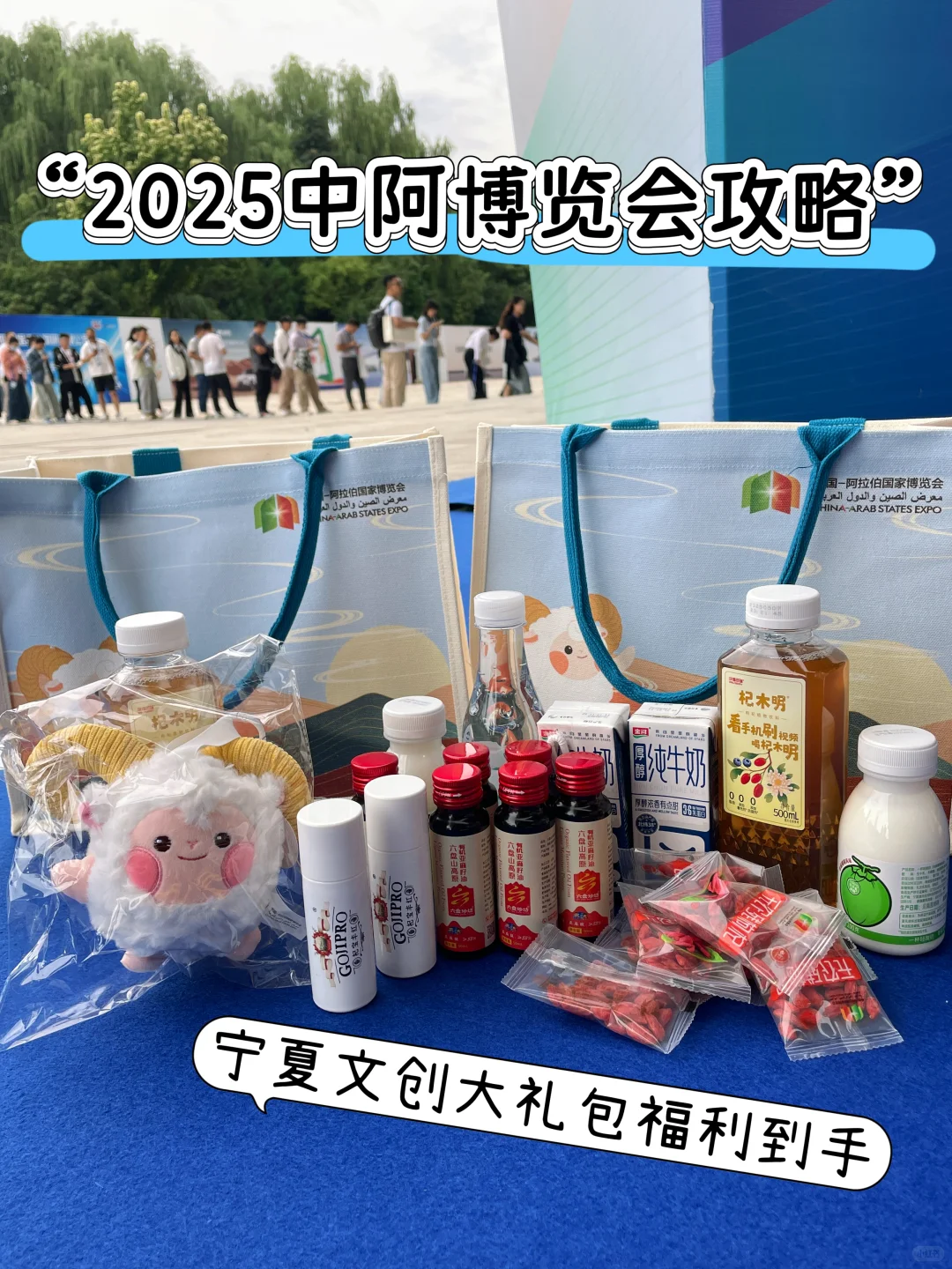 银川中阿博览会终极暴走攻略❗️‼️