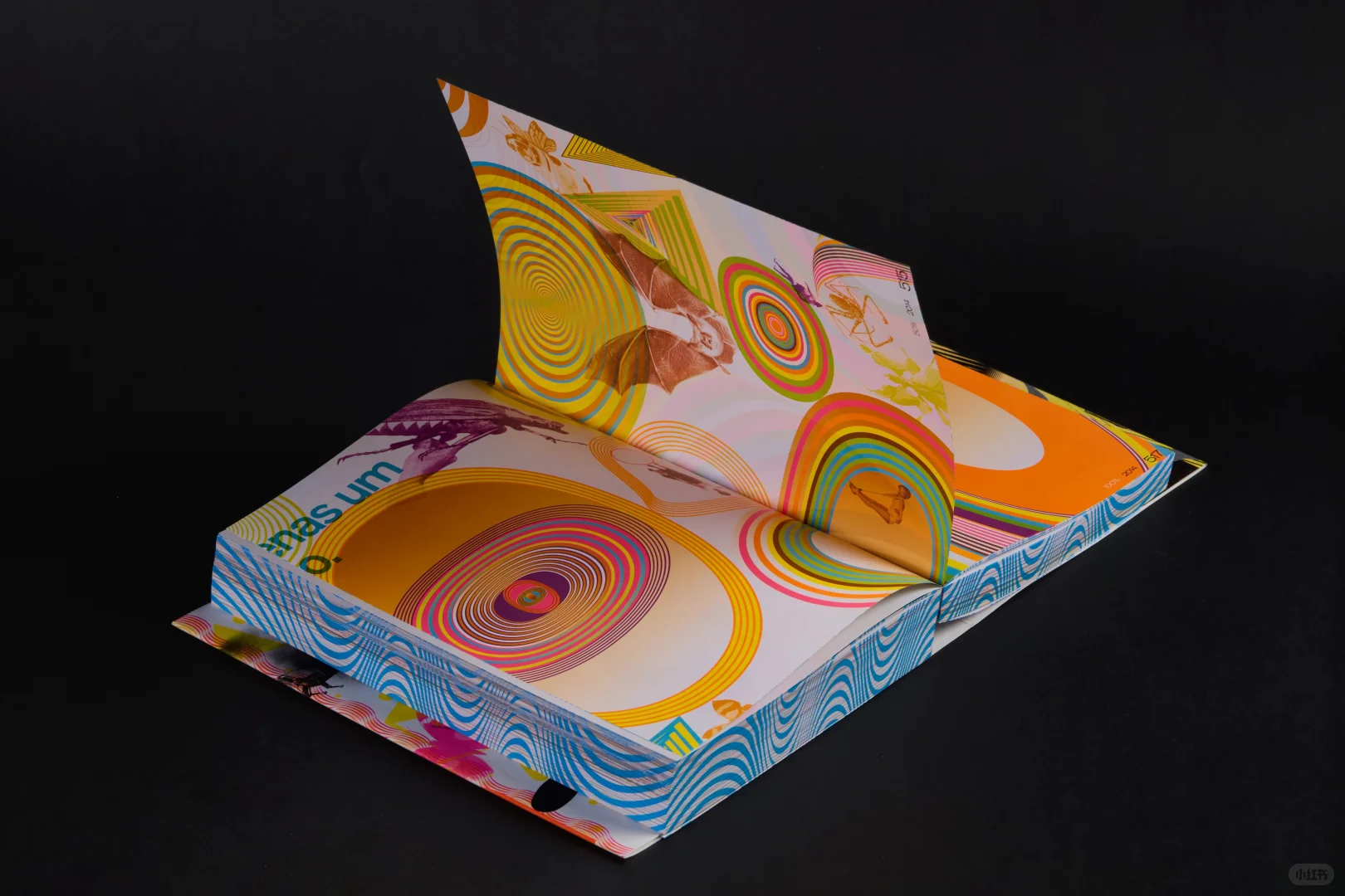 新展｜在柏林看了一场“色彩”展览