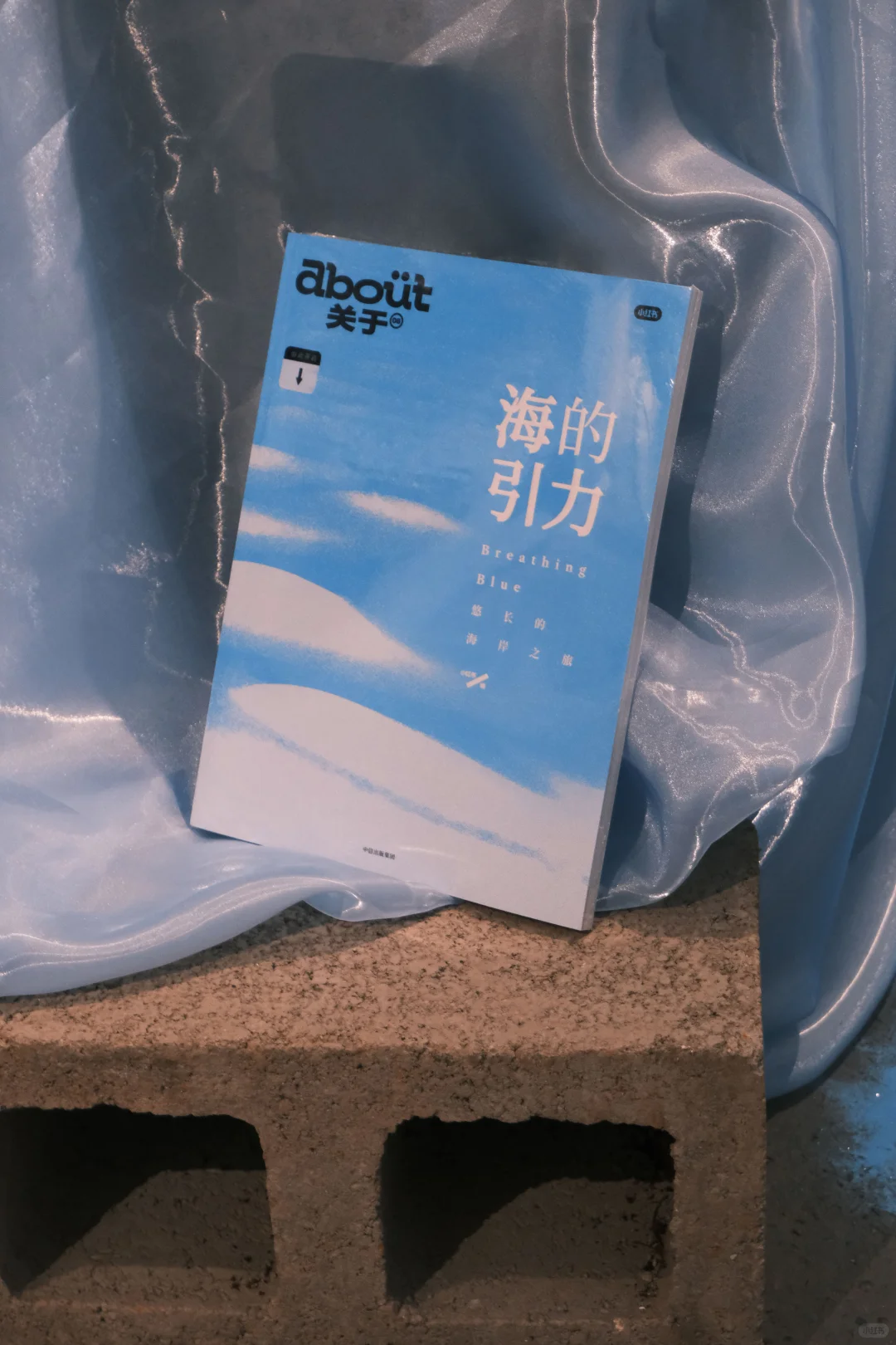 上海快闪｜海风升起时 ?