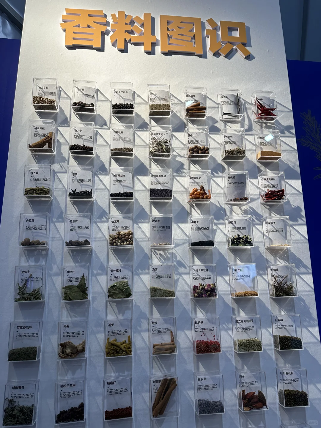 银川中国·阿拉伯国家博览会，好逛，但腿已废