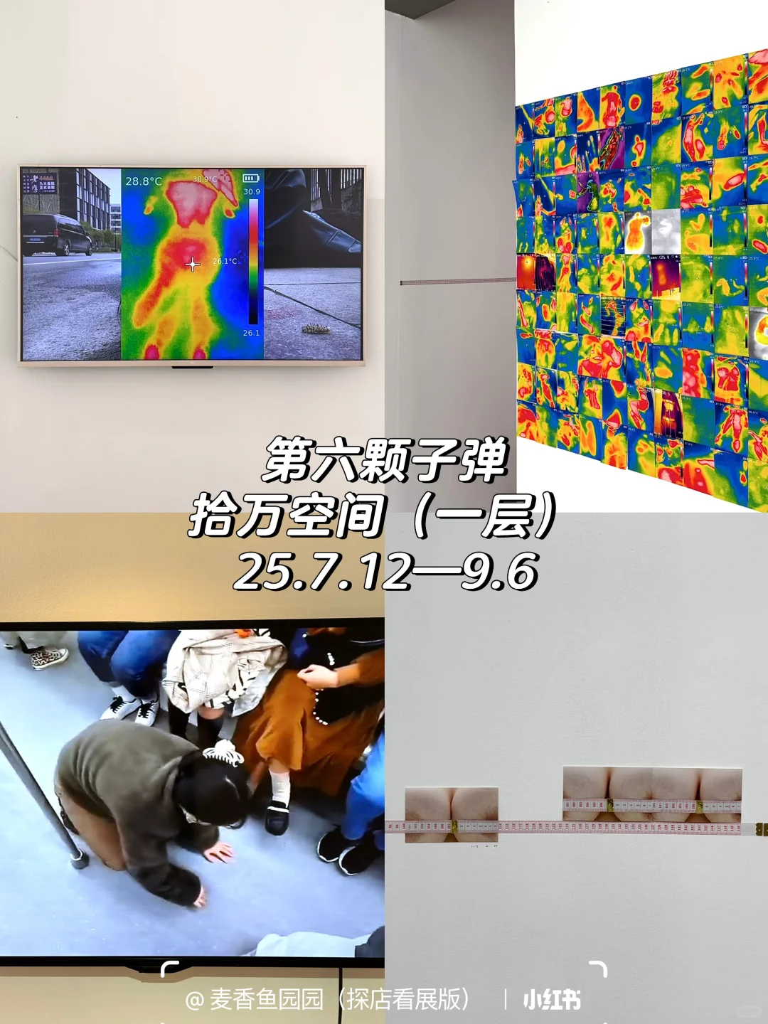 798艺术区8、9月免费展合集提前更啦❗️20多个