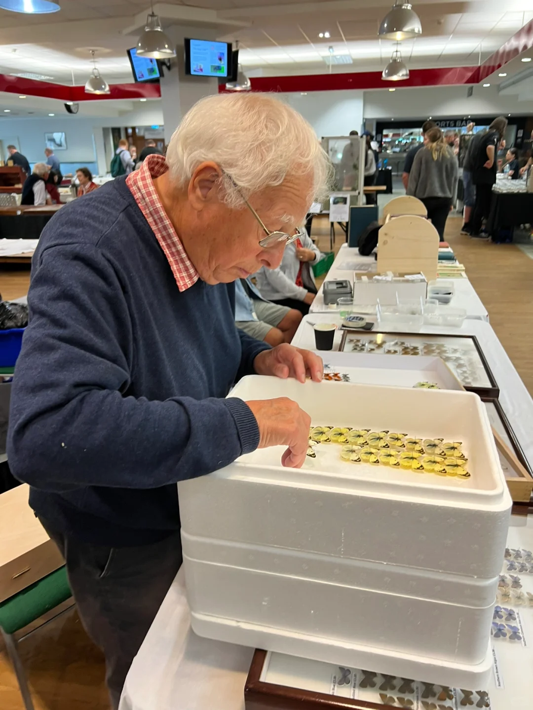 英国伦敦昆虫学展会