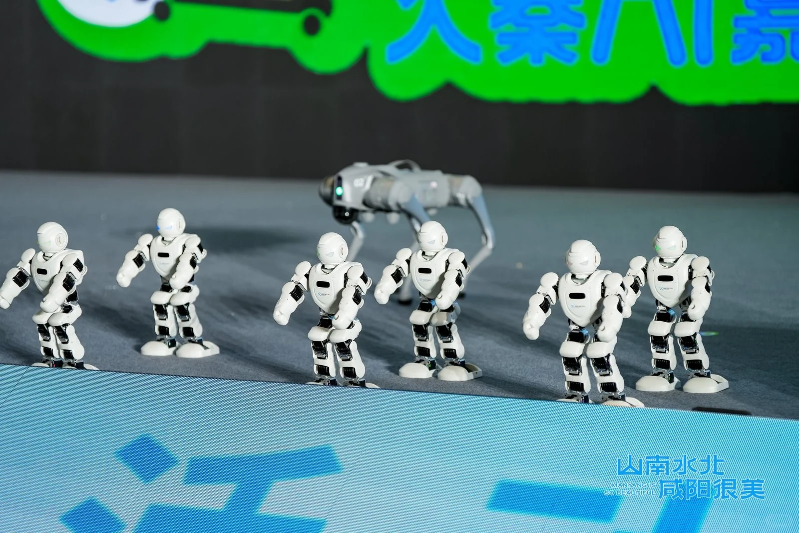 文旅推介活动主持