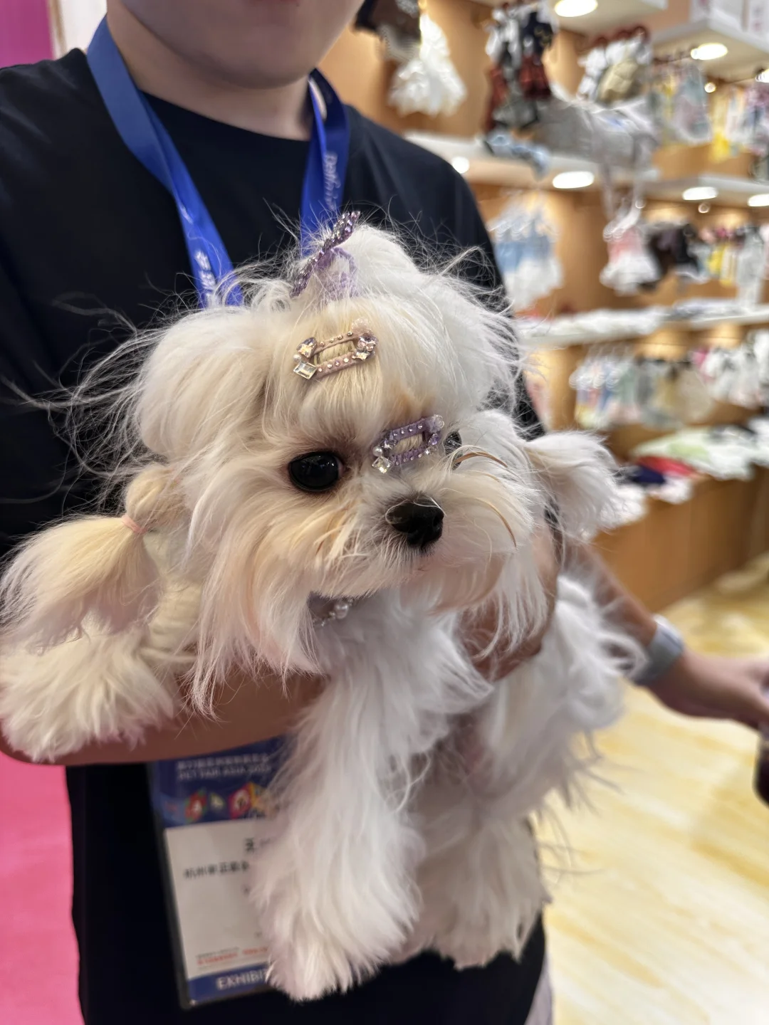 包装设计师勇闯亚宠展的一天