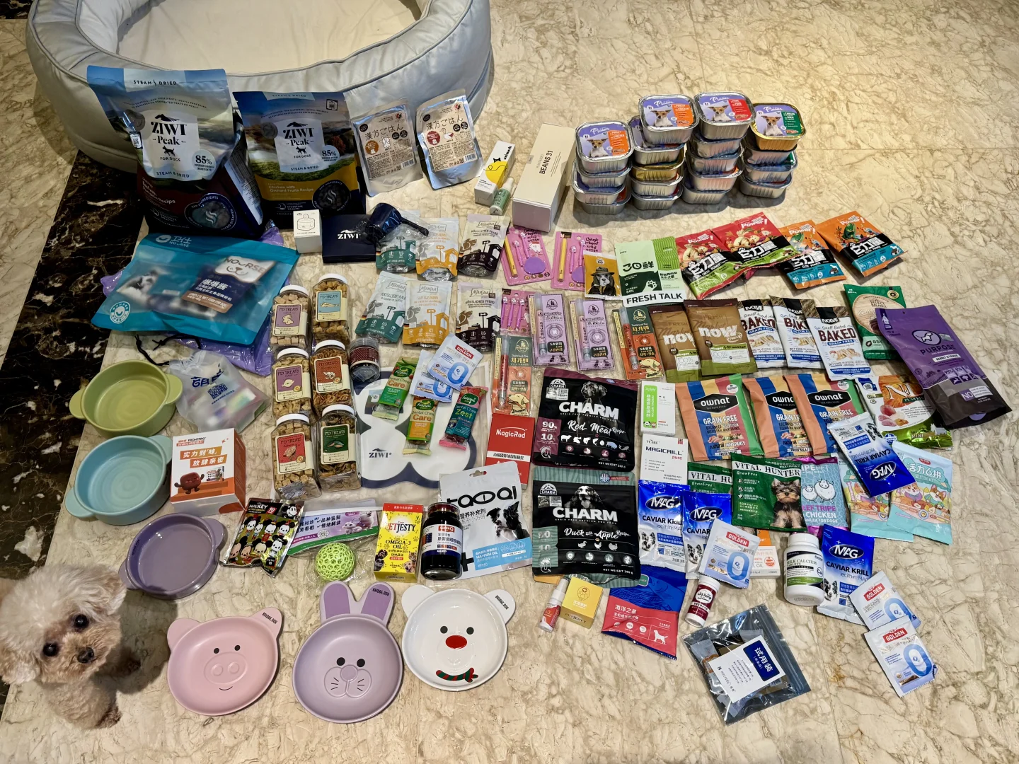 亚宠展吐槽｜专业日却成了大卖场？