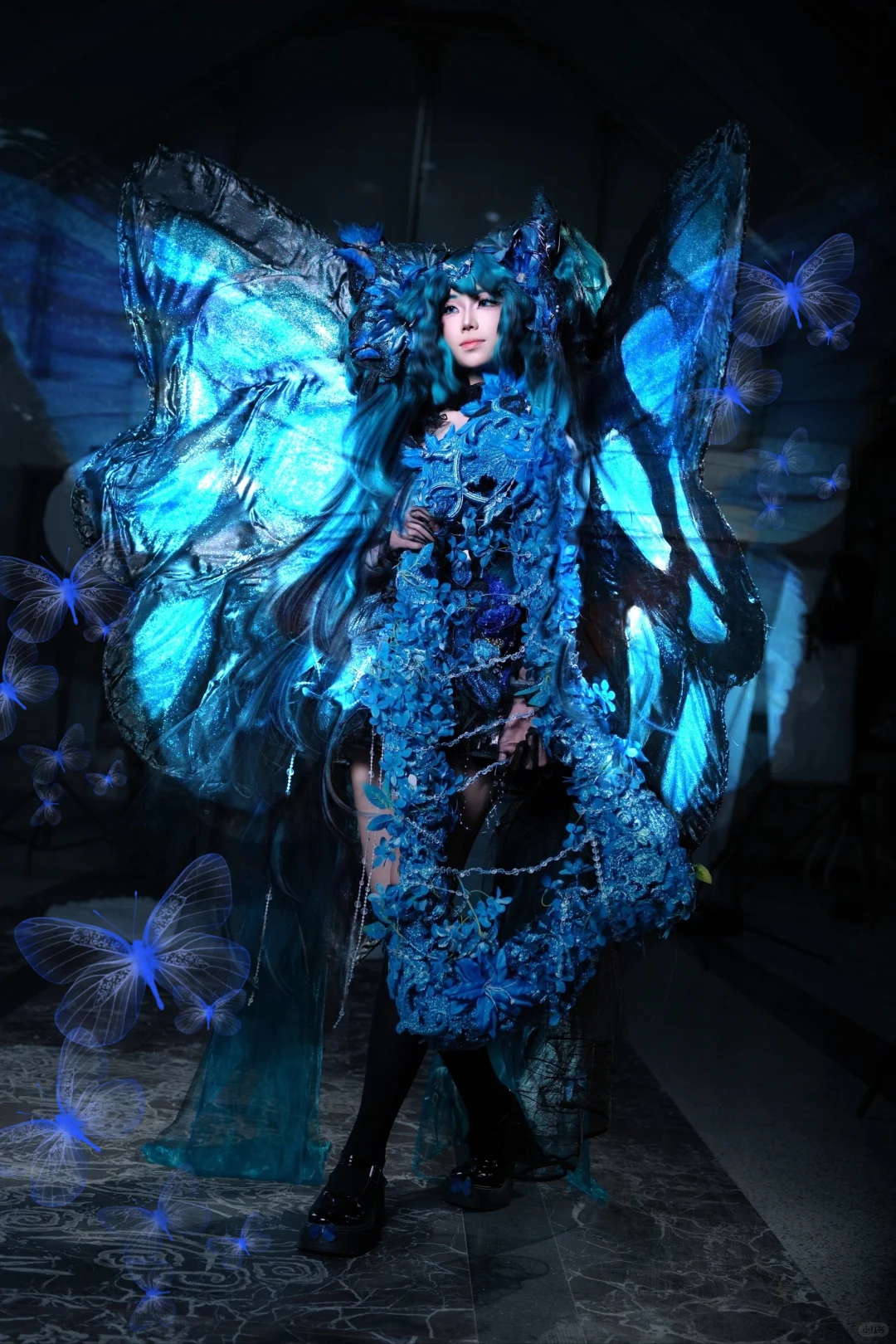 洛洛想去WACGW云南动漫游戏博览会！！！