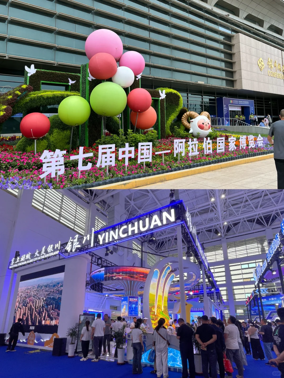 银川中阿博览会终极暴走攻略❗️‼️