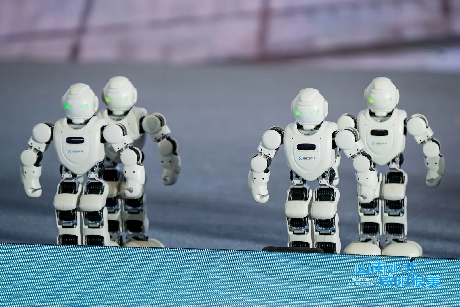 文旅推介活动主持