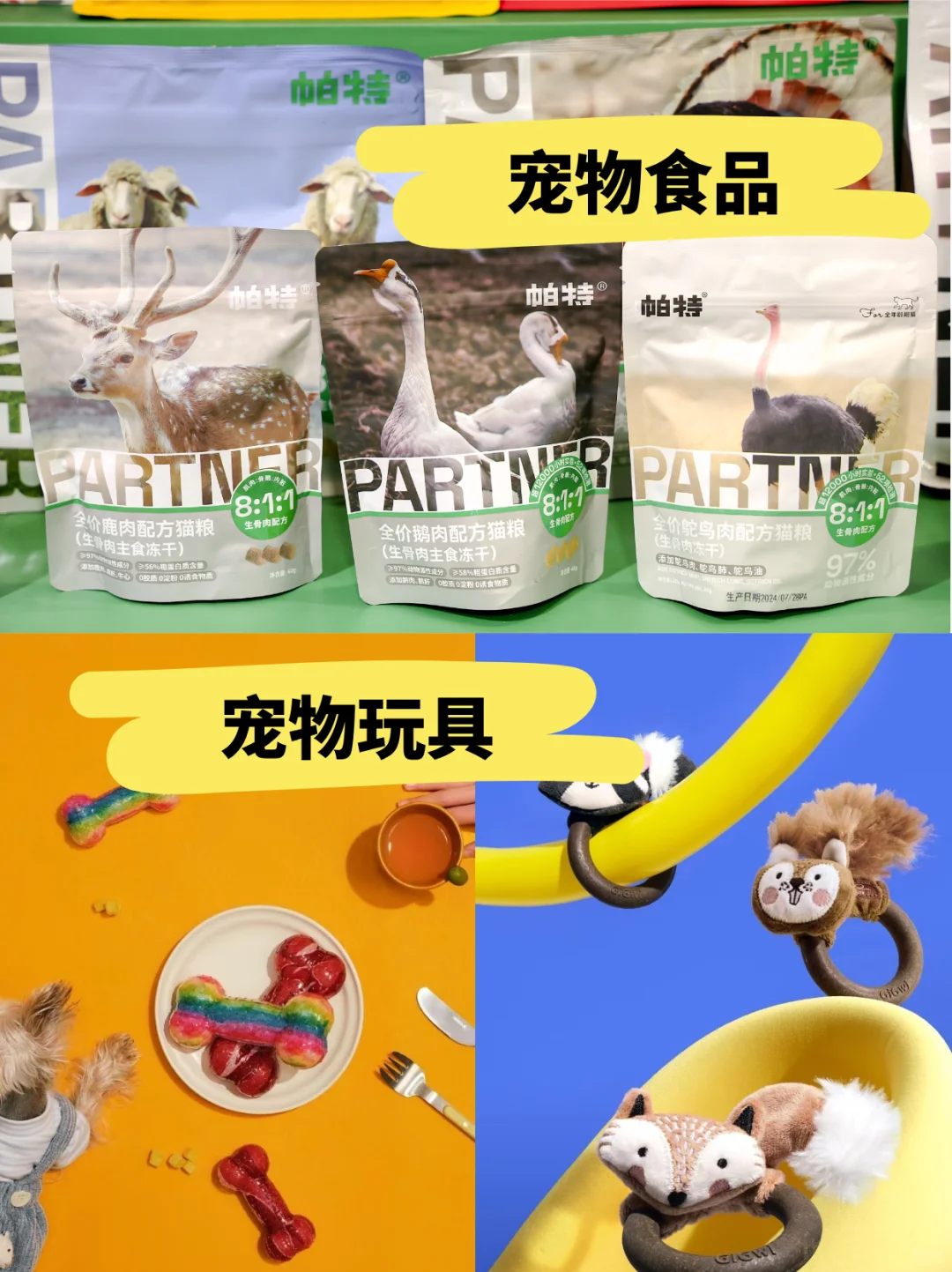 10月必冲宠物展!深圳这个展藏着超多商机