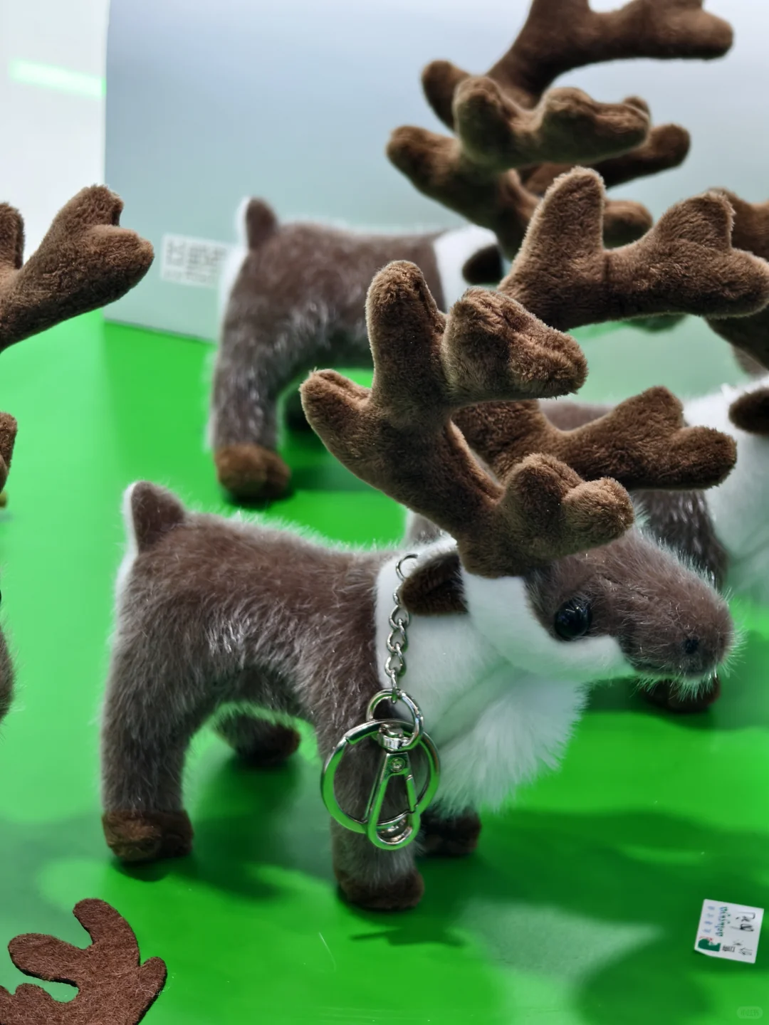 ~ 逛内蒙古中蒙第五届博览会记