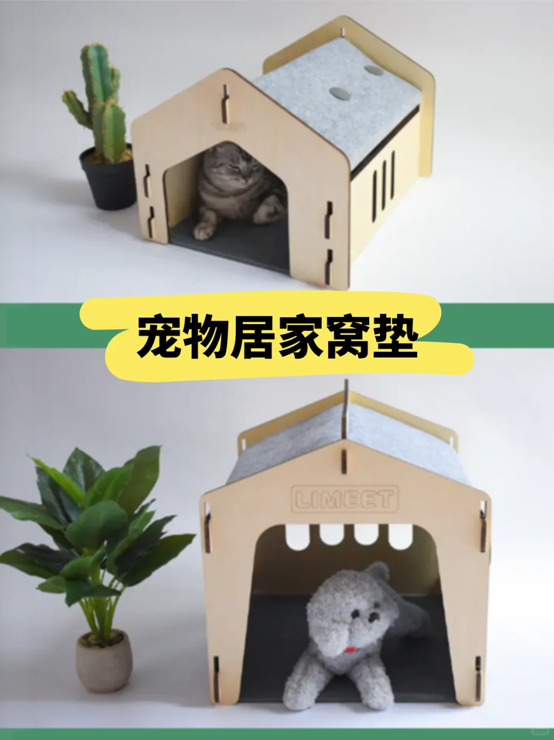 10月必冲宠物展!深圳这个展藏着超多商机