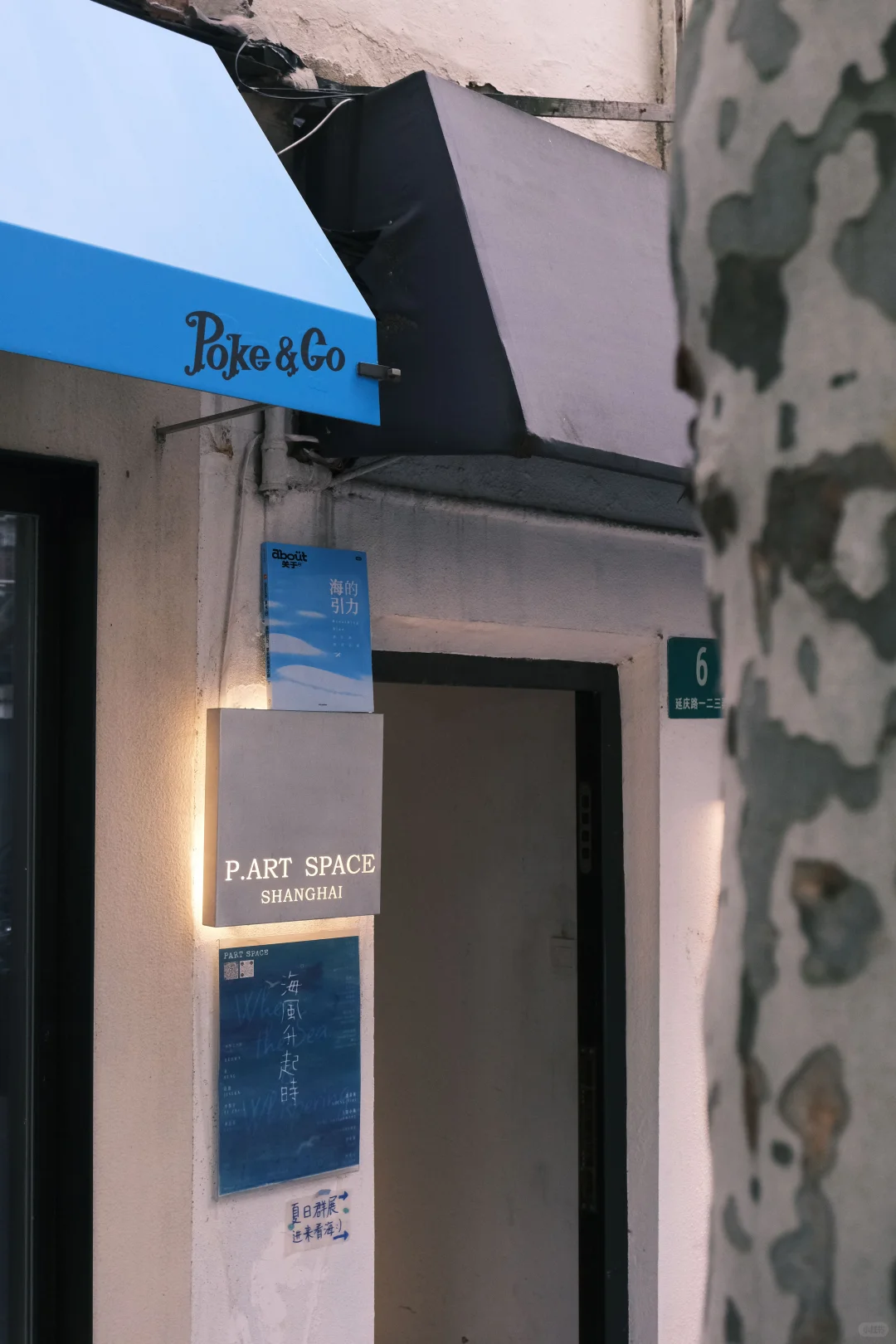 上海快闪｜海风升起时 ?