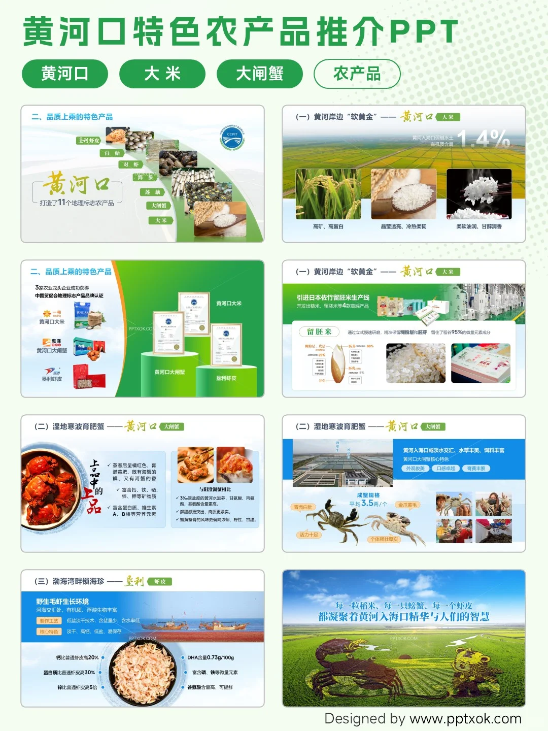 黄河口特色农产品推介PPT