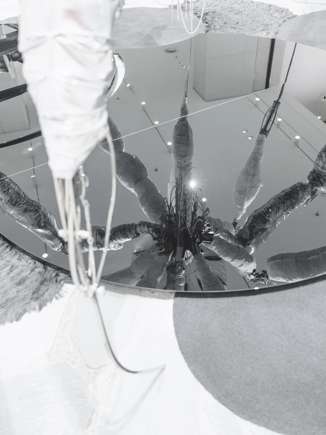 深圳探展 | 除了巨人，我更关注它的商业模式