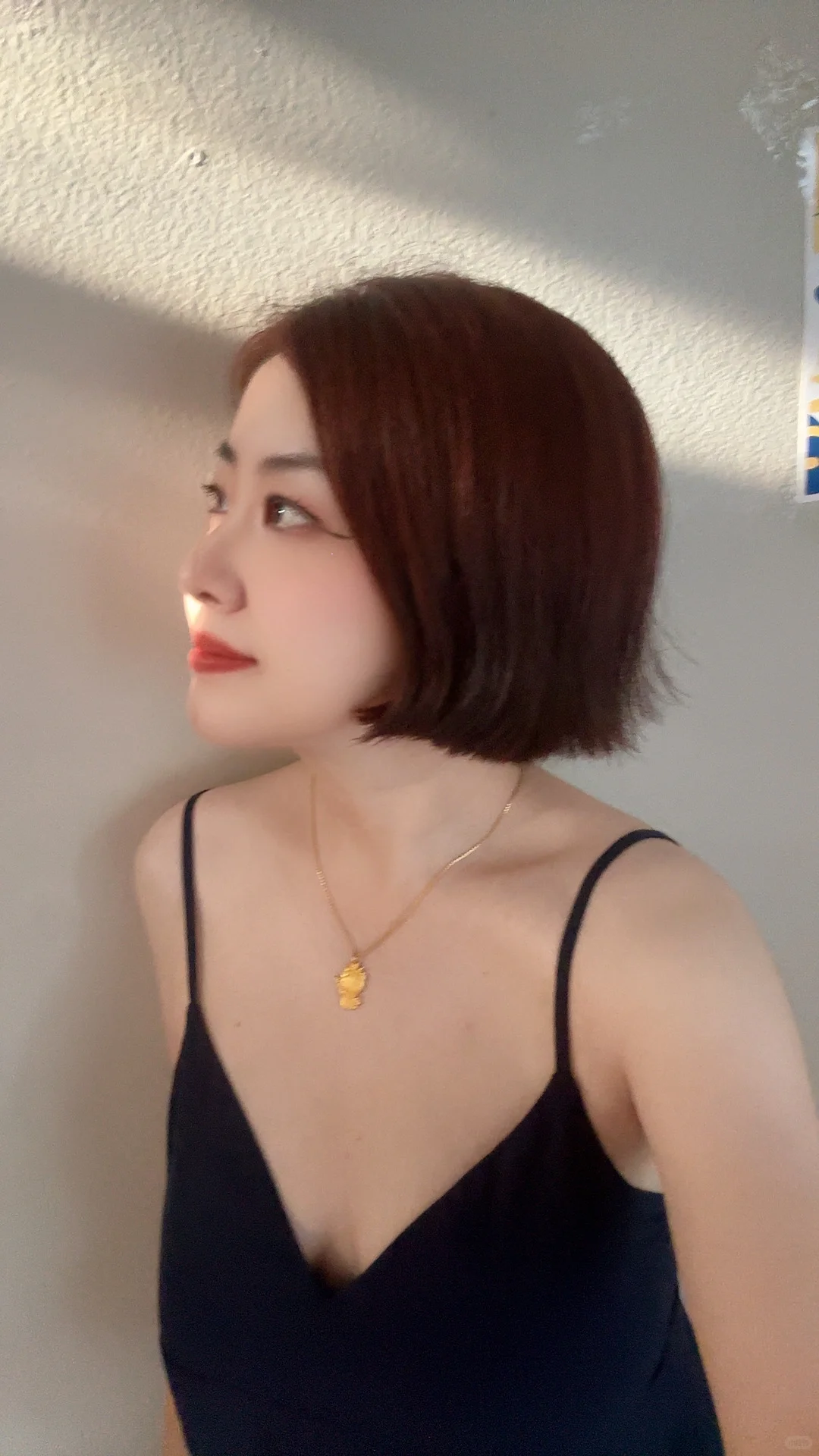 No bra在洛杉矶阳光正好