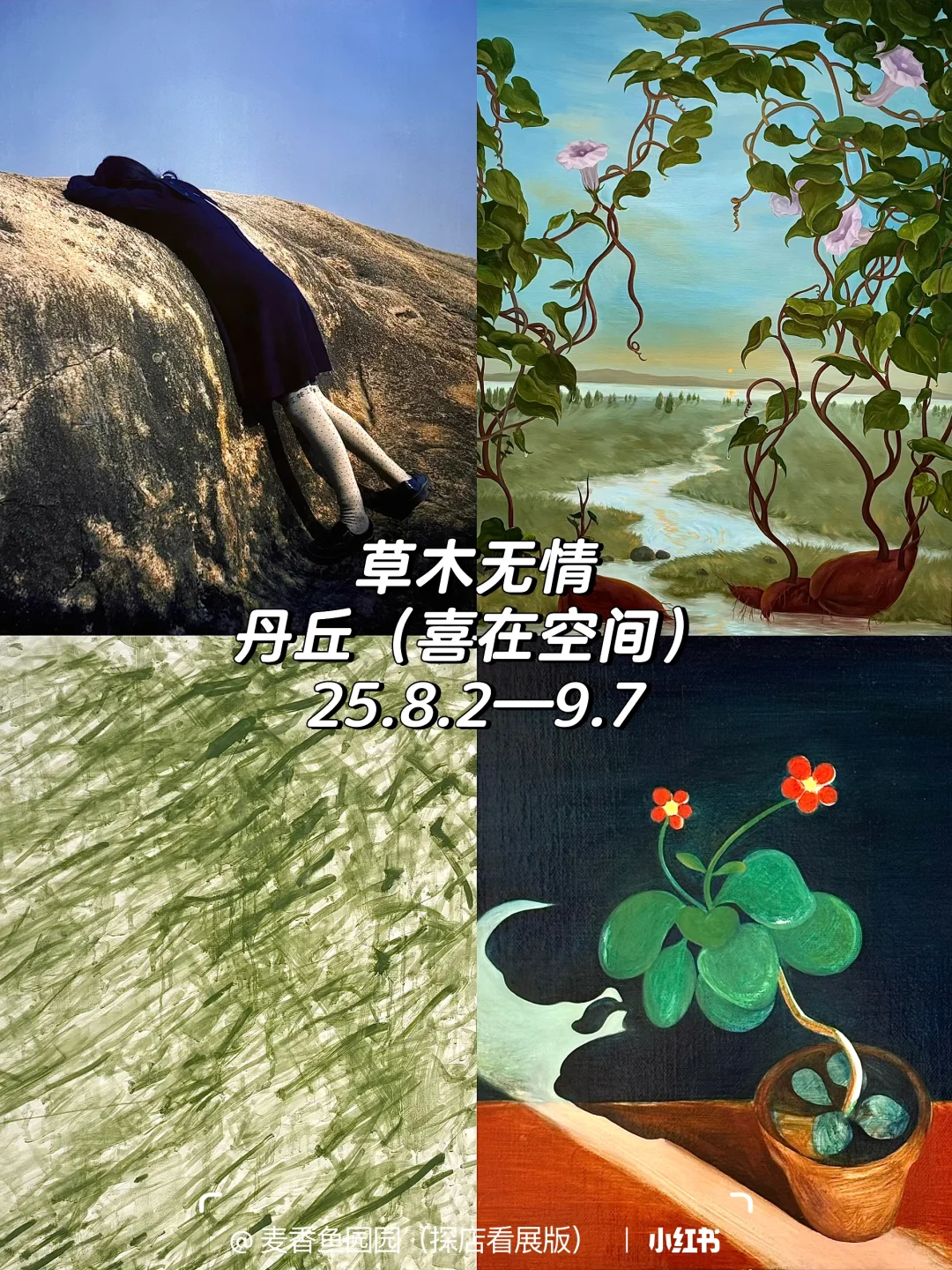 798艺术区8、9月免费展合集提前更啦❗️20多个