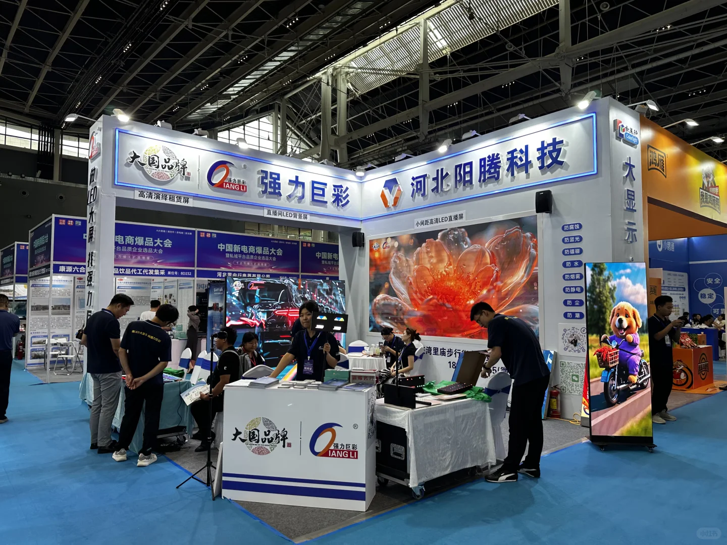 正定正定！！速来！宝藏展会！