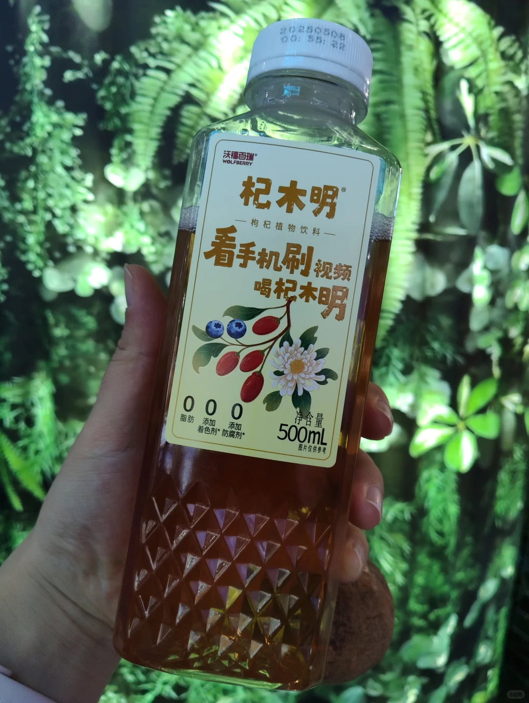 中阿博览会怎么逛