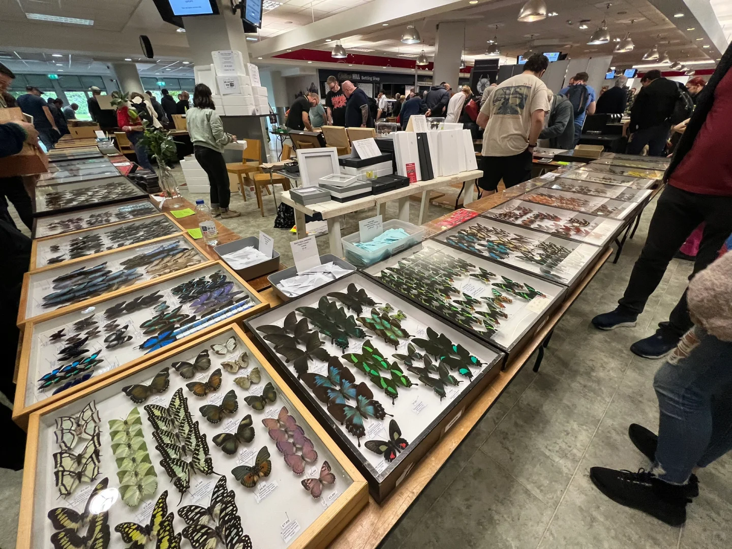 英国伦敦昆虫学展会