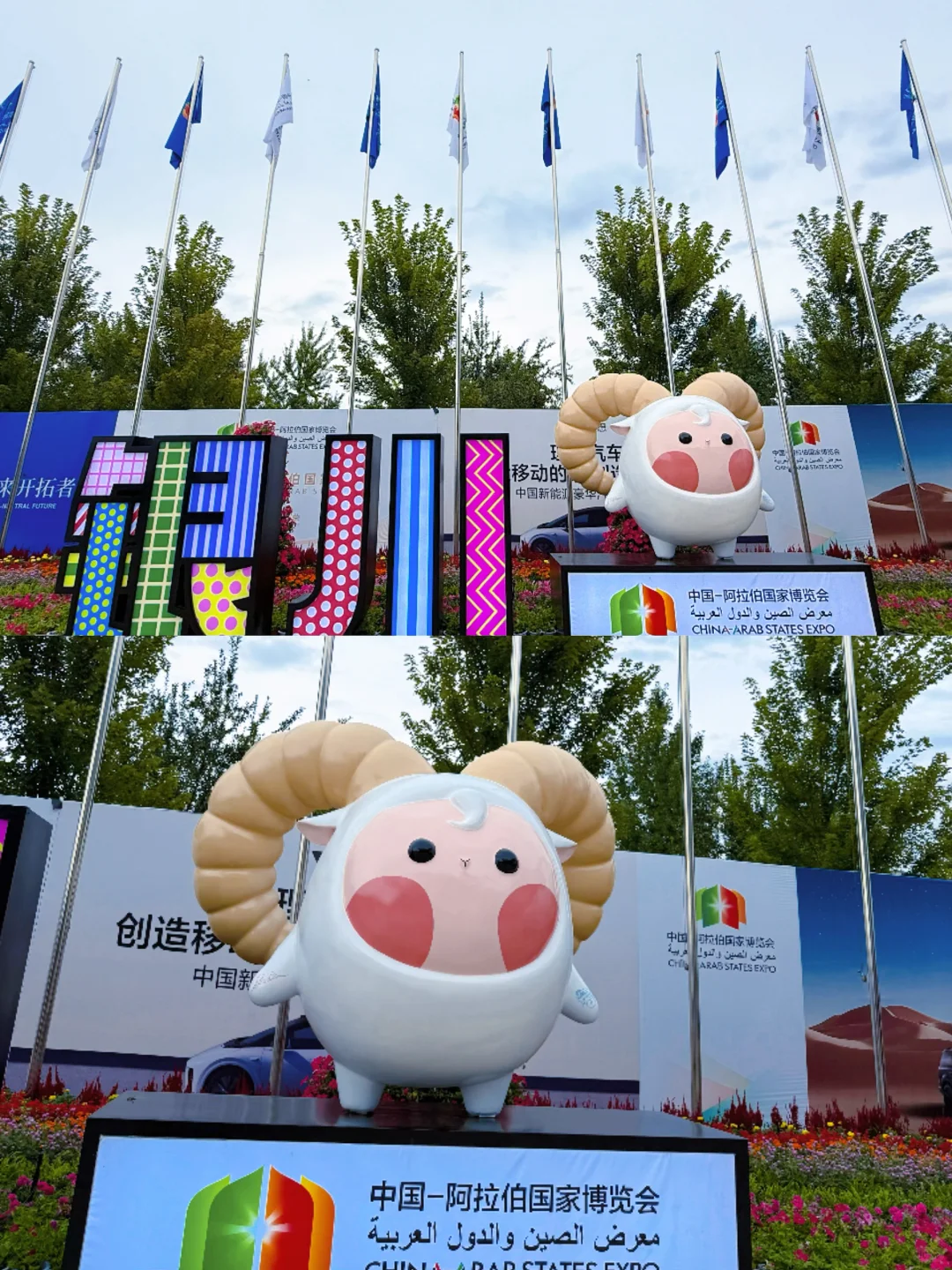 ????第七届中阿博览会?️