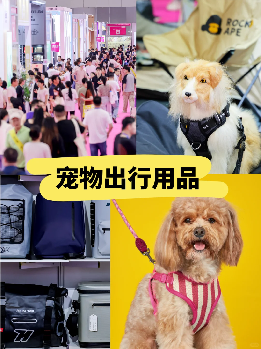 10月必冲宠物展!深圳这个展藏着超多商机