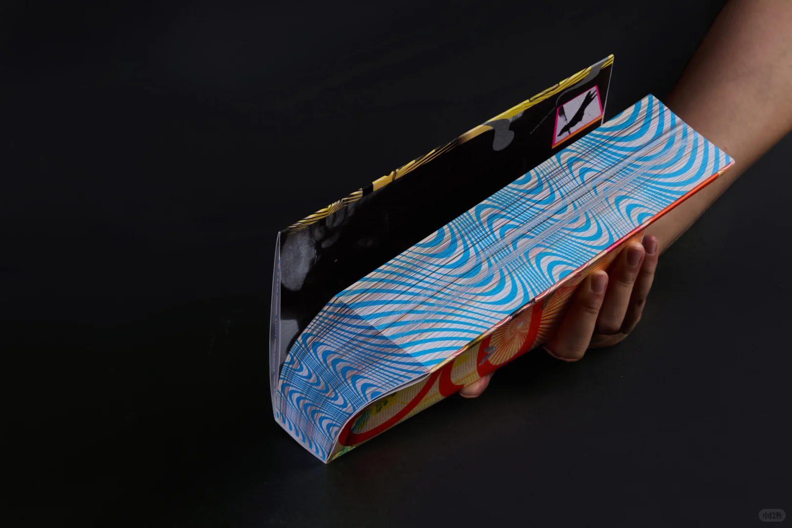 新展｜在柏林看了一场“色彩”展览