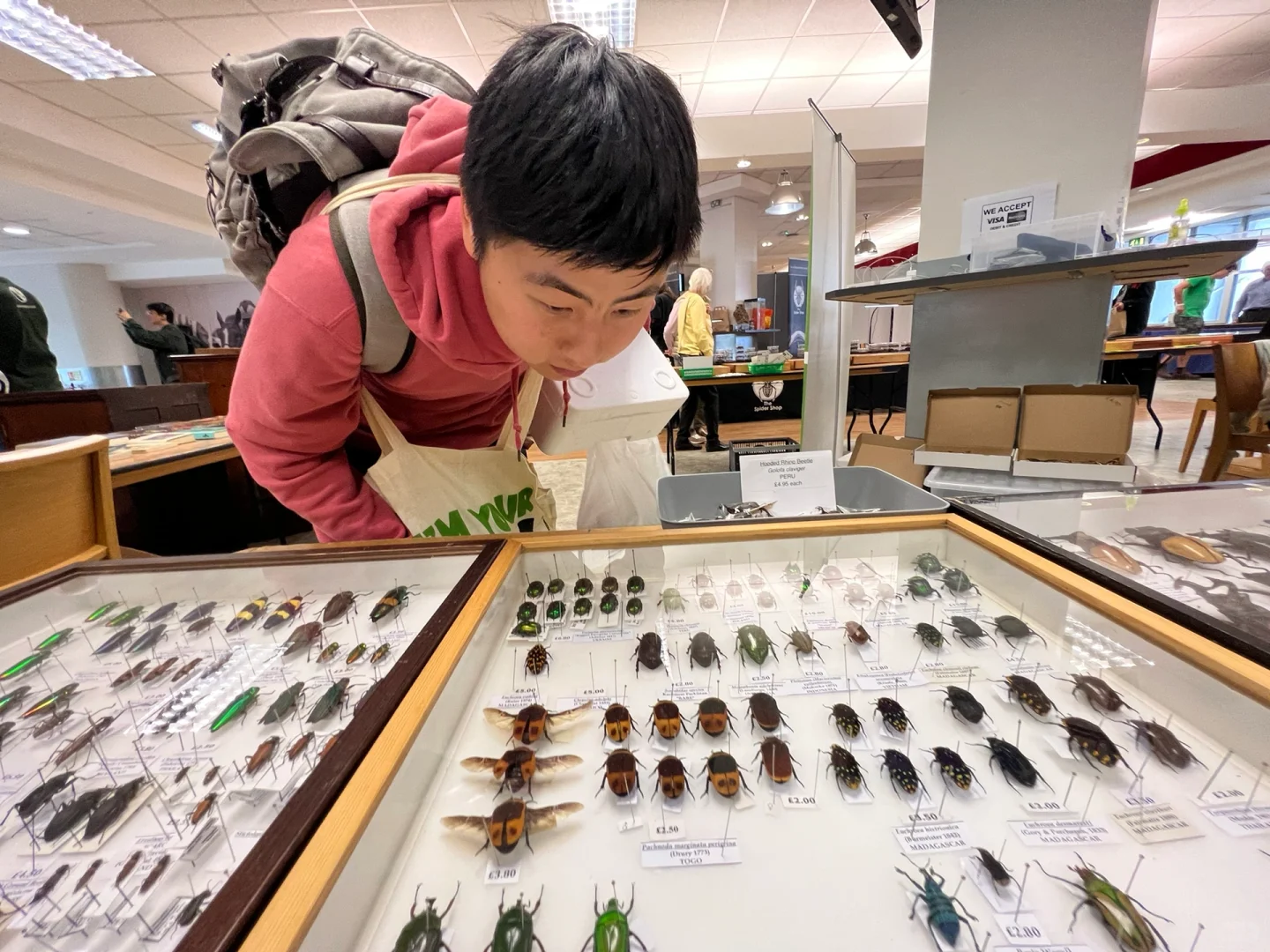 英国伦敦昆虫学展会