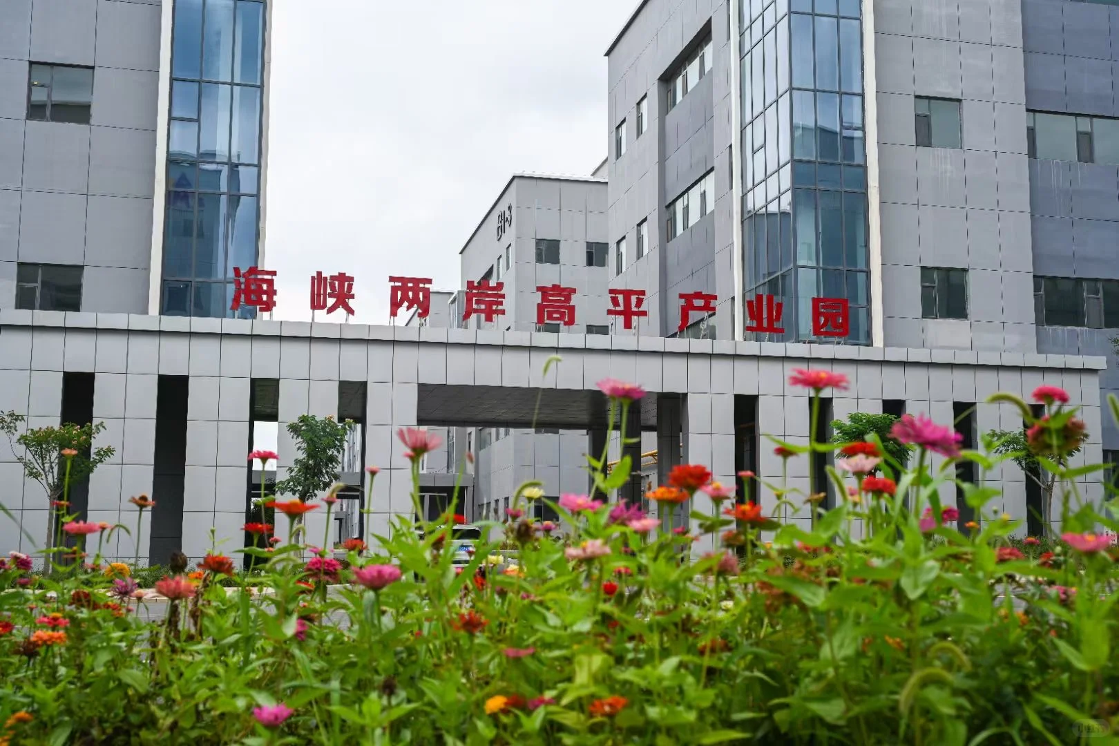 政府基金引导，扶持实体产业！寻找优质项目。