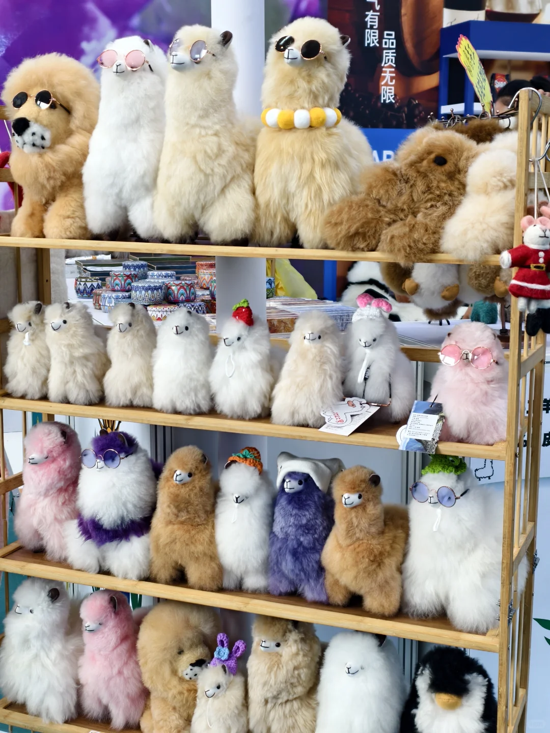 ~ 逛内蒙古中蒙第五届博览会记