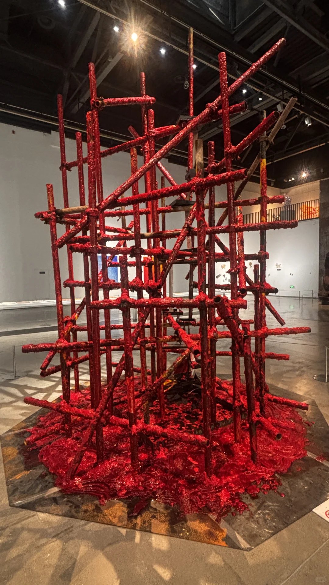 这么好看的毕业展我看了！