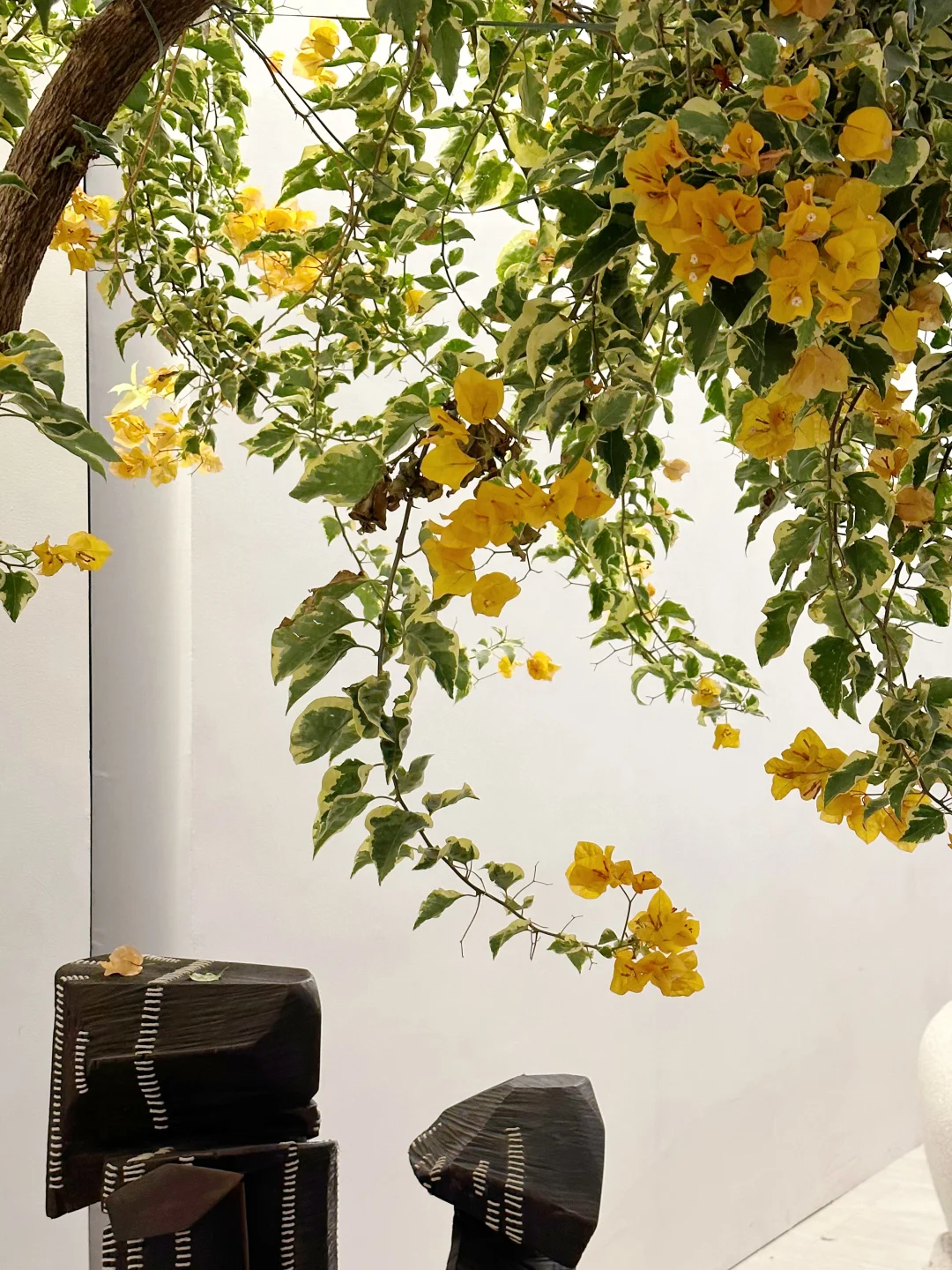 2024广州设计周“一起”相见（内附保姆级攻略