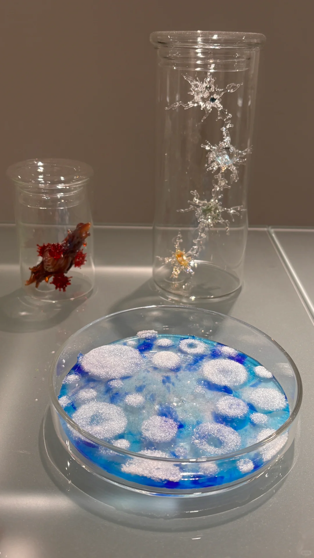 这么好看的毕业展我看了！