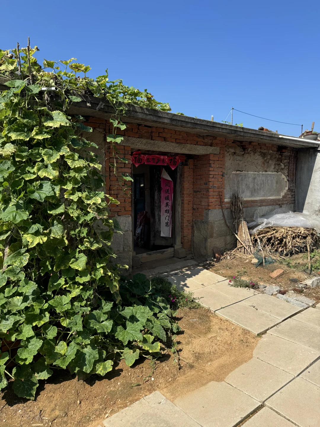 回老家看爷爷奶奶，延伸出对外贸的思考?